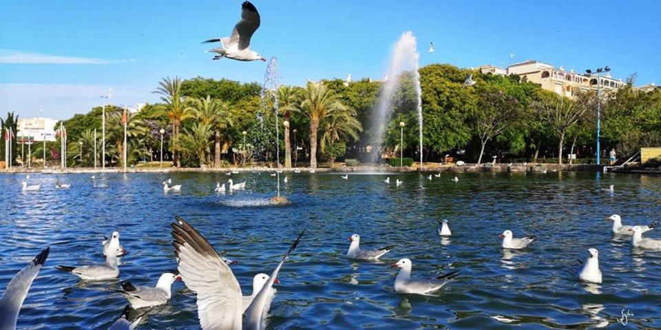 Torrevieja Experience Mar Azul Exterior photo